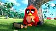 Roviolla odotetaan toukokuussa ensi-iltansa saavaa Angry Birds -animaatioelokuvaa innolla.