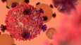 3D-kuva T-solusta, joka on hyökännyt syöpäsolun kimppuun.