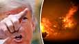 Donald Trumpin mukaan Kalifornian palot johtuvat huonosta metsähoidosta.