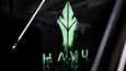 HAVU Gaming on perustettu keväällä 2017.