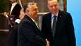 Viktor Orban ja Recep Tayyip Erdogan tapasivat Turkin Ankarassa torstaina 16. maaliskuuta.