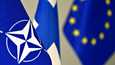 Aloitteessa vaaditaan, että eduskunta kehottaa hallitusta ja presidenttiä ryhtymään toimenpiteisiin Suomen liittymiseksi sotilasliitto Natoon.