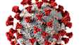 Lupaavimpiin lääkkeisiin uutta koronavirusta vastaan kuuluvat ebolaviruslääkkeeksi kehitetty remdesiviiri ja influenssa A-viruslääkkeeksi favipiravir.