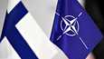 Natoon päästessään Suomi olisi sotilasliiton 31. jäsenmaa. 