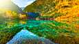 Five Flower Lake eli Viiden kukan järvi sijaitsee Kiinassa, Jiuzhaigoun luonnonsuojelualueella.
