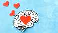 Rakastuneen ihmisen aivotoiminta muuttuu. 