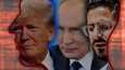 Donald Trump (vas.), Vladimir Putin ja Shimon Hayut.