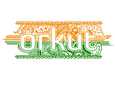 Orkut juhlisti Intian 63:tta itsenäisyyspäivää vuonna 2009 koristelemalla logonsa intialaisittain.