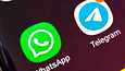 Telegram päihittää WhatsAppin yhä ryhmien koossa.