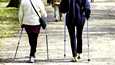 Eläkeikäisille suositellaan yleisesti kohtuukuormitteista kestävyysliikuntaa, kuten reipasta kävelyä, vähintään 2,5 tuntia viikossa