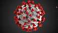 Yhdysvaltain tautikeskuksen (CDC) kuvitus koronaviruksesta.