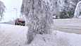 Sekä isommat että pienemmät puut ja oksat saattavat katketa märän lumen painosta.