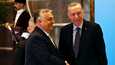 Unkarin pääministeri Viktor Orban (vas.) ja Turkin presidentti Recep Tayyip Erdogan tervehtivät toisiaan torstaina Ankarassa.