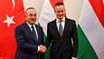 Unkarin ulkoministeri Peter Szijjarto ja Turkin ulkoministeri Mevlut Cavusoglu tapasivat Budapestissa tiistaina. 