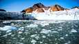 Jää sulaa kiihtyvää tahtia. Kuva Grönlannista.