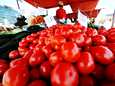 Missä tomaatteja kannattaisi viljellä ja miten? Uusi laskuri voi auttaa päätöksenteossa.
