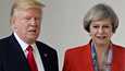 Yhdysvaltain presidentti Donald Trump tapasi Britannian pääministerin Theresa Mayn perjantaina Valkoisessa talossa.