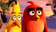 Angry Birds -elokuva tulee Suomessa ensi-iltaan perjantaina 13. toukokuuta.