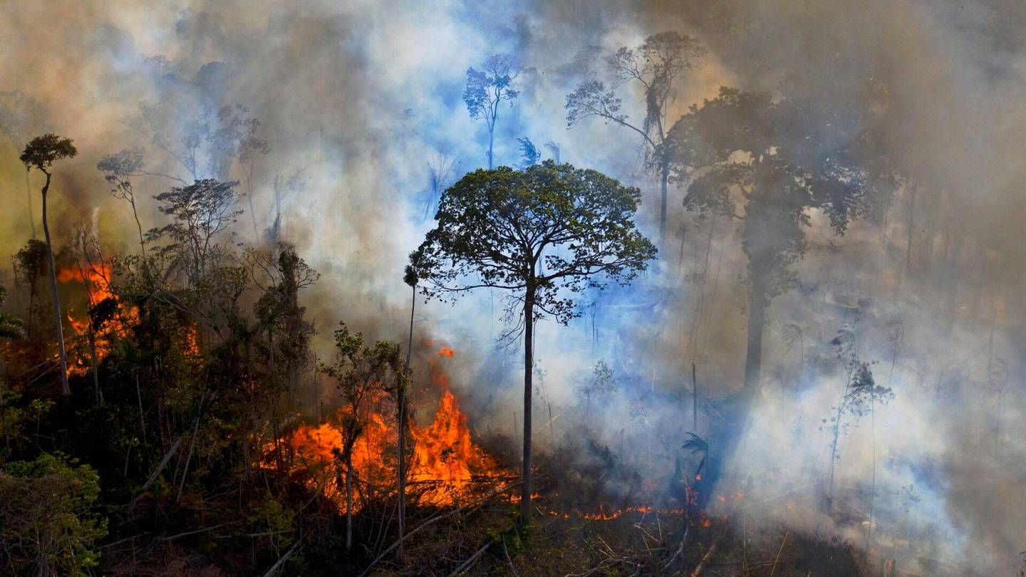 Brasilian Amazonin sademetsäkato suurinta 15 vuoteen