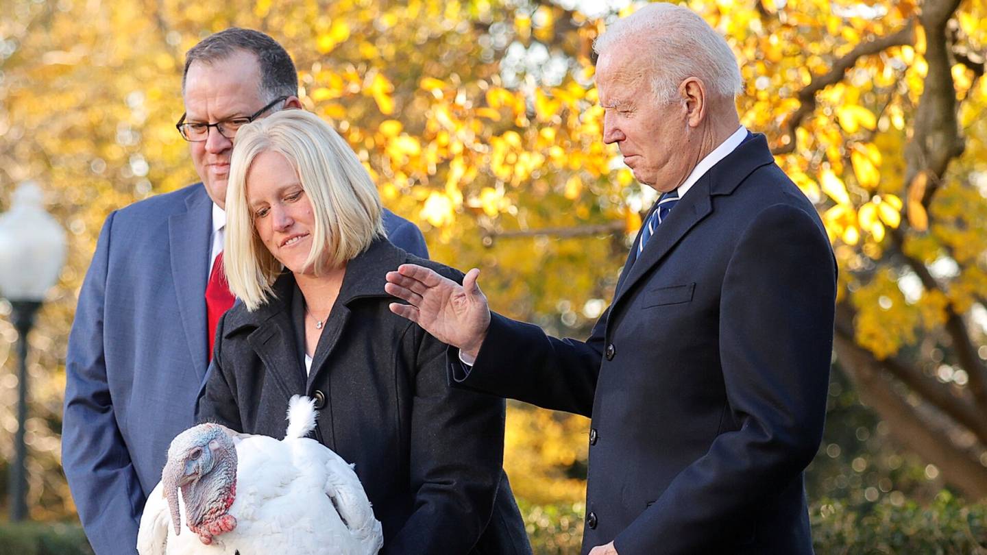 Presidentti Joe Biden armahti kiitospäivän kalkkunat suorassa lähetyksessä