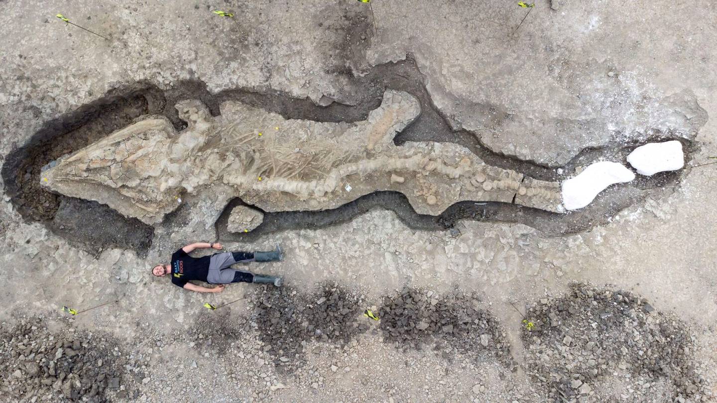 Valtavan ”meri­lohi­käärmeen” fossiili löytyi Britanniassa – ”Todella ennen­näkemätön”