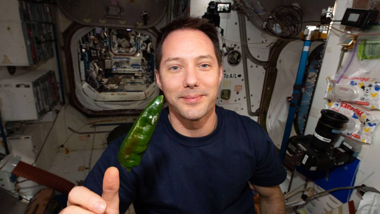 ISS-avaruusaseman vessa hajosi – neljä astronauttia palasi vaipoissa Maahan