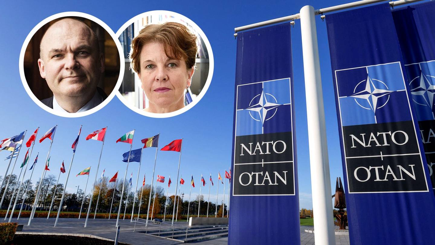 Tämä kaikki muuttuu Suomen Nato-jäsenyyden myötä