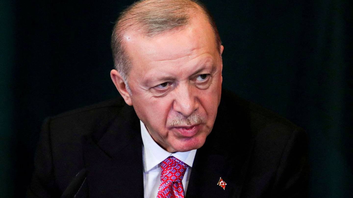Американский экс-дипломат предлагает «выкурить» Турцию из НАТО