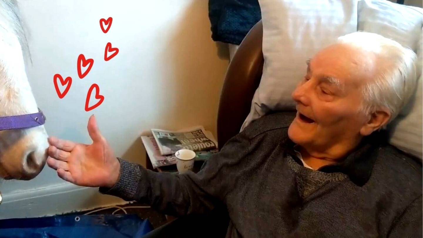 Vanha hevosmies sai 96-vuotissyntymäpäivilleen erityisvieraan