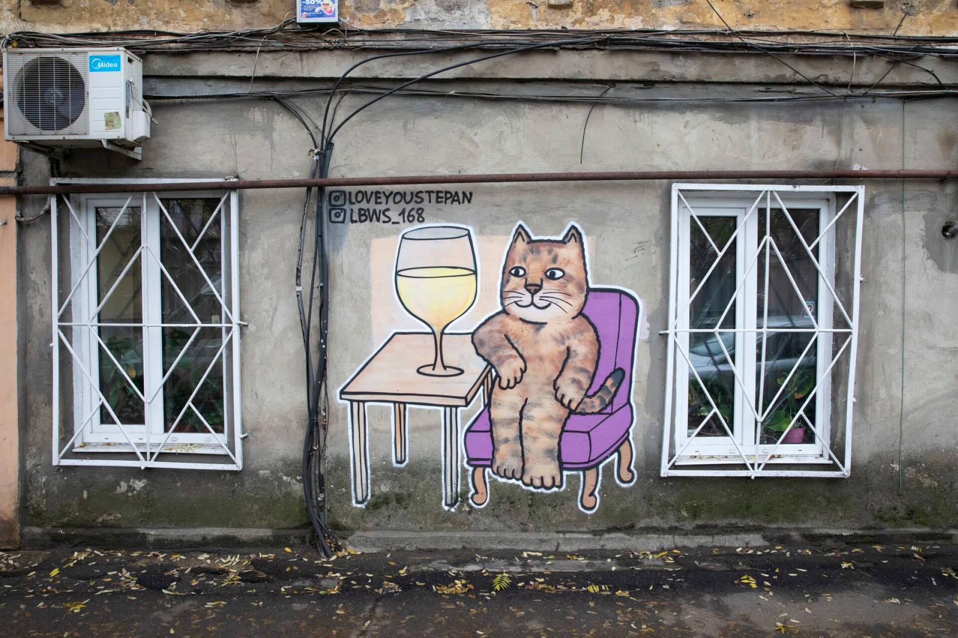 Varhaisemman vaiheen kissamaalaus Odessassa esittää sosiaalisessa mediassa julkkikseksi jo ennen sotaa noussutta ukrainalaista Stepan-kissaa.