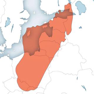 Ällistyttävä kartta paljastaa maiden todelliset mittasuhteet – katso, minkä  kokoinen Suomi oikeasti on - Tiede - Ilta-Sanomat