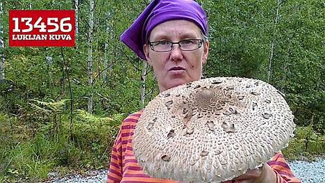 Savonlinnalainen Pirjo Mikkonen löysi suuren ukonsienen kuuden tunnin sienireissun jälkeen.