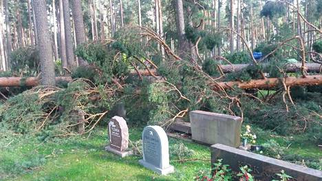 Kymmeniä puita kaatui Järvenpään hautausmaalla.