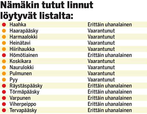 Pääskyt ja varpuset katoamassa Suomesta, lähes 90 lajia vaarassa – ”Jotain  todella radikaalia on tapahtunut” - Kotimaa - Ilta-Sanomat