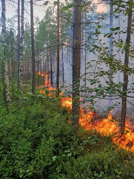 Maastopalo levisi voimakkaimmillaan 500–600 metrin rintamalla ja siitä syntyi myös uusia paloja. Sammutustyöt kestivät useita päiviä.