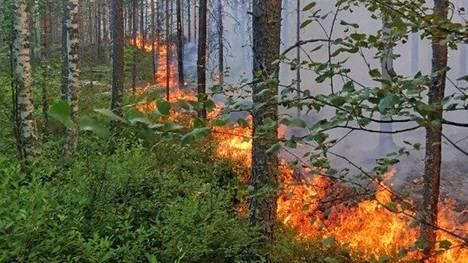 Kalajoella on riehunut maastopalo maanantaista saakka.