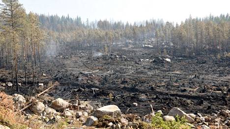 Maasto oli metsäpalon jäljiltä kuin sotatannerta.
