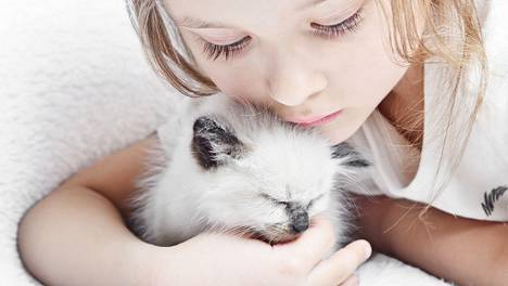 6 tapaa, joilla kissasi näyttää rakkautensa - Lemmikit - Ilta-Sanomat