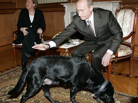 Putin tapasi Merkelin Sotshissa 2007 ja päästi suurikokoisen koiran kiertelemään vapaasti tilassa, vaikka tiesi Merkelin pelkäävän koiria.