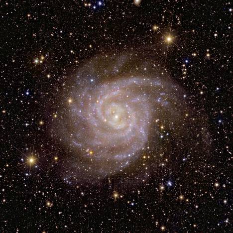Tämä spiraalinmuotoinen galaksi tunnetaan nimellä The Hidden Galaxy – eli IC 342. Galaksi tallentui Euclid-teleskoopin ottamaan kuvaan.