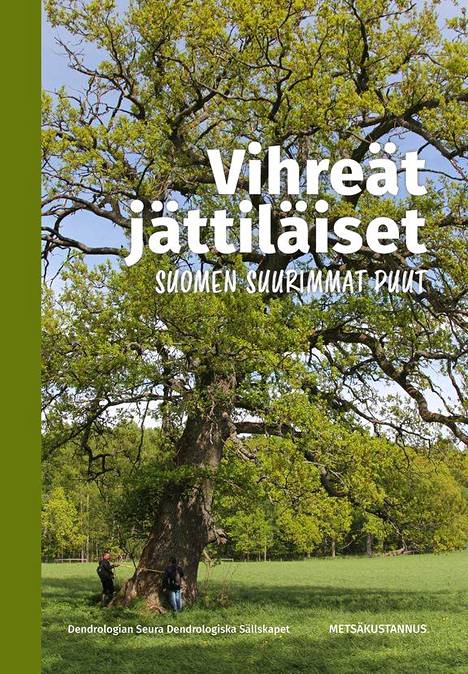 Uutuuskirja esittelee Suomen suurimmat puut – tiesitkö Lyydikkälän tammen,  ”Kiteen jättiläisen” ja Tsaarinpoppelin? - Matkat - Ilta-Sanomat