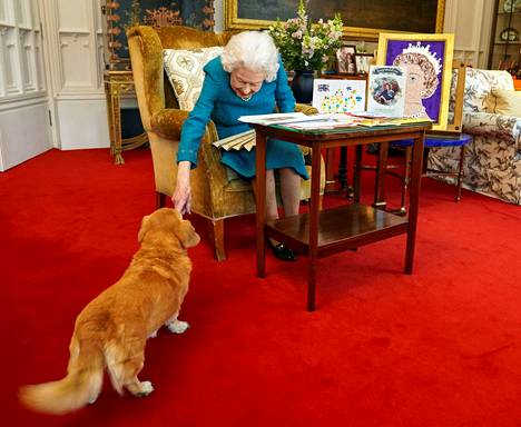 Corgit olivat tiivis osa kuningattaren elämää ja imagoa. Kuvassa kuningatar ja Candy-koira Windsorin linnassa helmikuussa 2022.