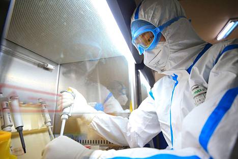Laboratoriotyöntekijä tutkii koronavirusnäytteitä Hengyangissa, Kiinassa.