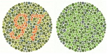 Vasemmanpuoleisessa kuvassa näkyvä numero ei näy puna-vihersokealle. Oikeanpuoleisessa kuvassa sen sijaan on haamunumero. Jos ihminen näkee siinä kuitenkin numeron, saattaa kyseessä olla lievä värisokeus, muttei sellainen, joka alentaisi elämänlaatua millään lailla, Specsaversilta kerrotaan. Vasemmanpuoleisessa kuvassa on numero 97, oikeanpuoleisessa saattaa joillekin näkyä numero 89.