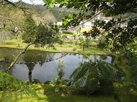 Luonto on rehevää ja monimuotoista Azoreilla, niin myös Terra Nostran kasvitieteellisessä puutarhassa São Miguelinsaarella. Siellä Päivi vieraili juhlistamassa 50 vuoden ikäänsä.