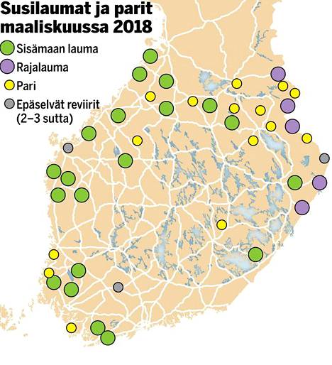 Suomen susilaumoista suurin osa vaeltaa nyt lännessä – katso kartasta,  missä sudet liikkuvat - Kotimaa - Ilta-Sanomat
