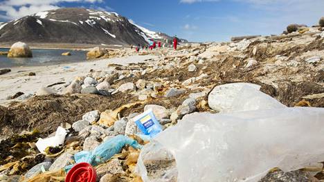 Muovijätettä Huippuvuorilla noin 1000 kilometriä pohjoisnavalta.