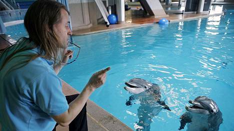 Särkänniemen delfiinien kouluttaja siirto-operaatiosta: ”Käyttäytyminen oli  sen mukaista” - Kotimaa - Ilta-Sanomat