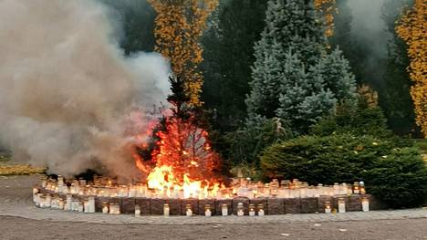 Palo uhkasi levitä myös muihin puihin.