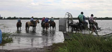 Tulvavedessä hevonen on toimiva kulkuväline.